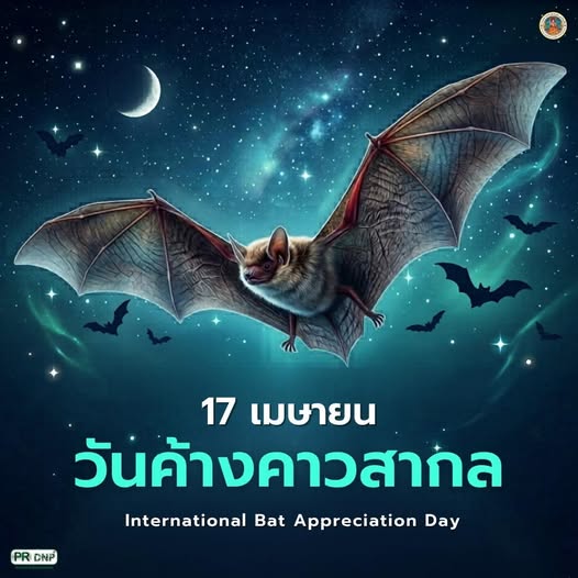 🦇17 เมษายน  &ldquo;วันค้างคาวสากล&rdquo;🦇 เพื่อตระหนักถึงความสำคัญของค้างคาว ผู้พิทักษ์และรักษาสมดุลระบบนิเวศทั่วโลก
