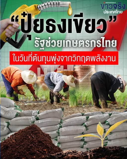 &ldquo;ปุ๋ยธงเขียว&rdquo; รัฐช่วยเกษตรกรไทย ในวันที่ต้นทุนพุ่งจากวิกฤตพลังงาน