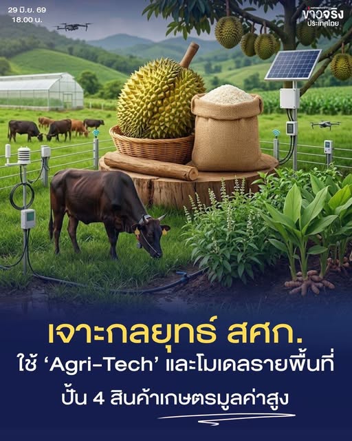 INSIGHT : จาก "ทำมากได้น้อย" สู่เกษตรมูลค่าสูง เจาะกลยุทธ์ สศก. ใช้ Agri-Tech และโมเดลรายพื้นที่ปั้น 4 สินค้าเกษตรมูลค่าสูง
