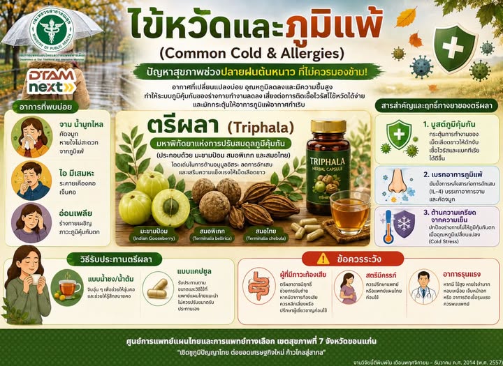 COFFEE BREAK : ปลายฝนต้นหนาวนี้ ดูแลตัวเองให้ดี เพราะอากาศเปลี่ยน&hellip; ภูมิคุ้มกันก็เปลี่ยนตาม🌧️❄️